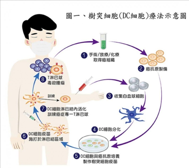 细胞治疗:未来医疗的希望之光