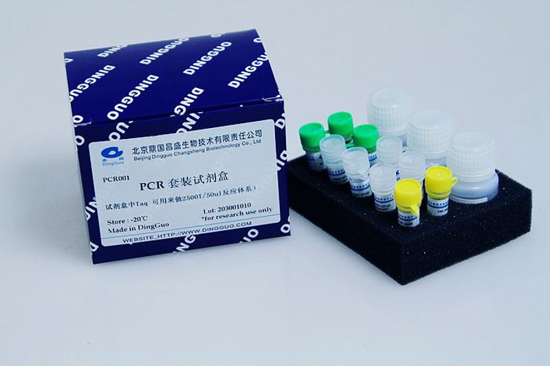 基因检测:开启精准医疗时代的新篇章