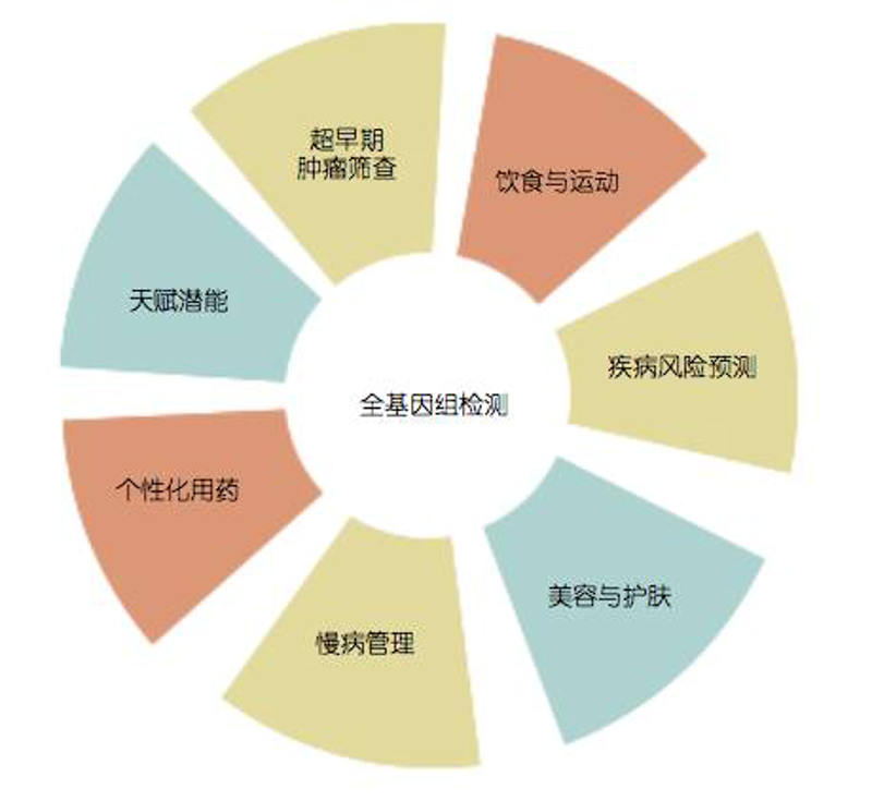 生物科技:科技与生命的完美邂逅